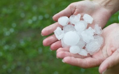 Hail Damage: Everything You Need to Know