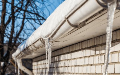 How to Winterize Your Windows