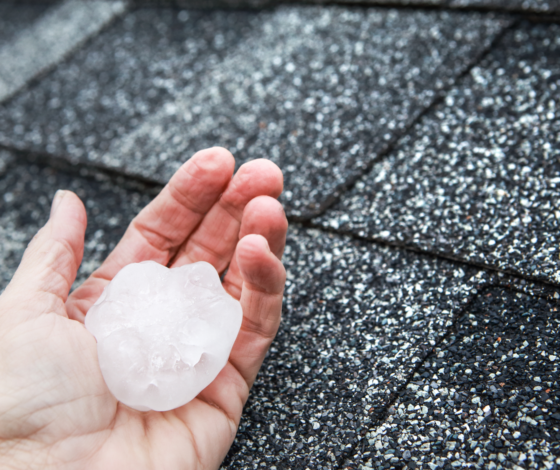 Hail in the palm of a hand next to asphalt roof