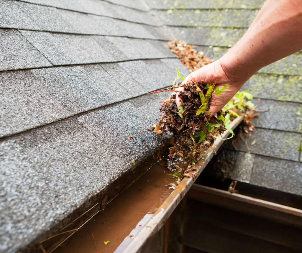 hand cleaning out gutters