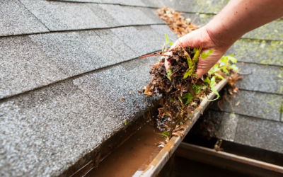 A Guide to Cleaning Your Gutters