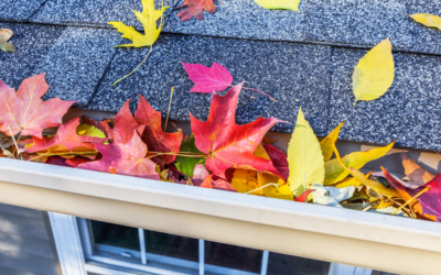4 Reasons Fall is the Time for Roof Repair