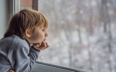 Winterizing Windows: A Guide to Keeping the Cold Out
