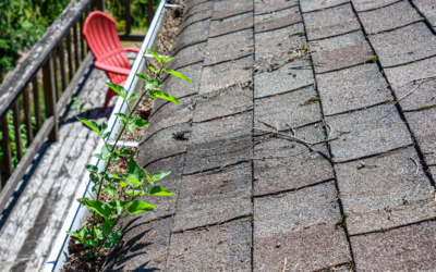 A Comprehensive Guide to Roof Maintenance