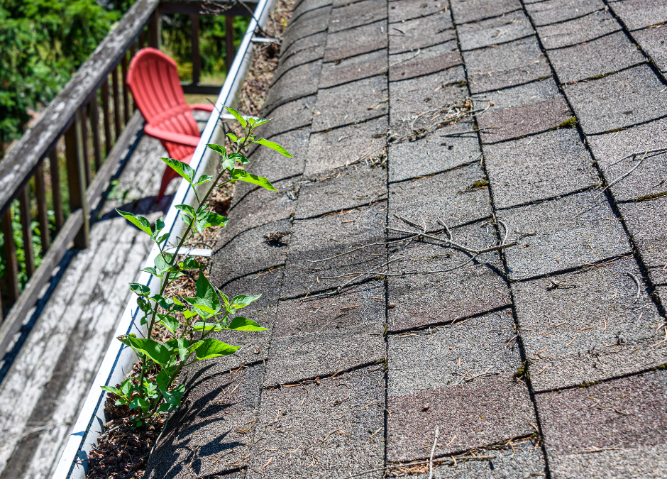 A Comprehensive Guide to Roof Maintenance